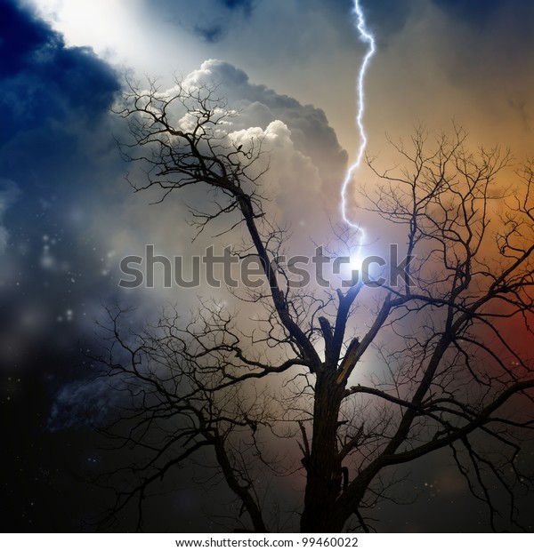 Dramatic background - tree struck by lightning from\
dark sky