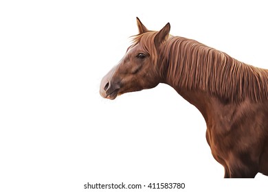 Draw  horse portrait on a white background