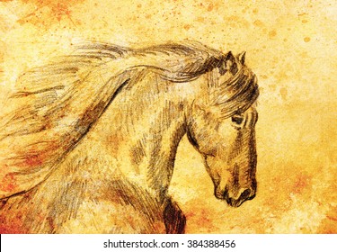 awesome drawings of horses