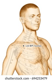 3,100 Acupuncture points on human body Images, Stock Photos & Vectors ...