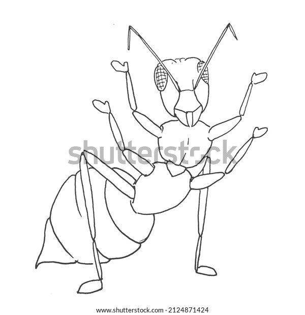 Drawing Ant Coloringdrawing Isolated On White Stock Illustration 