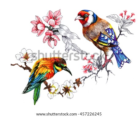 Royalty Free Stock Illustration Of Drawing Beautiful Bright Birds