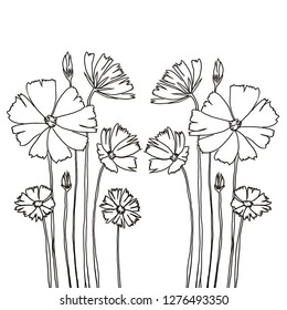 Cosmos Flowers Drawing Lineart On White Stock Vector (Royalty Free ...