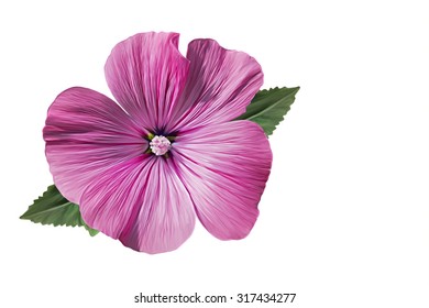 Drawing Beautiful Pink Flower On White Stock Illustration 317434277 ...