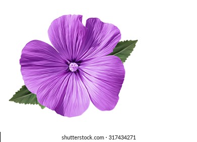 Purple Flowers Sketch Hd Stock Images Shutterstock