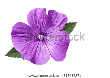 purple flowers drawing