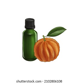 Drawing Bitter Orange Essential Oil, Glass Bottle And Citrus Fruit, Hand Drawn Illustration