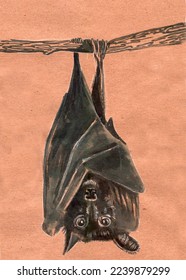 Drawing black bat hanging tree branch 