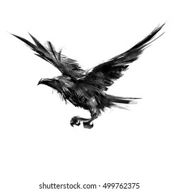 drawing black crow flying on a white background