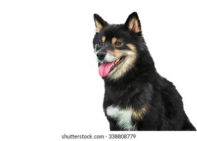 甲斐犬 のイラスト素材 画像 ベクター画像 Shutterstock