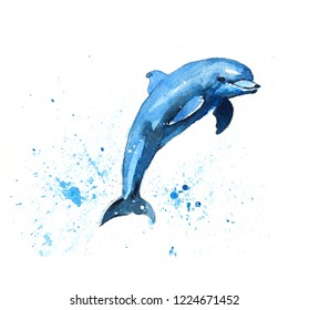 Drawing Blue Dolphin Watercolor