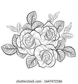 Beautiful Monochrome Black White Bouquet Rose Stock Vector (Royalty ...