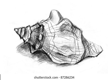 Abstract Unusual Pencil Drawing Spiral Shell Stock Illustration 