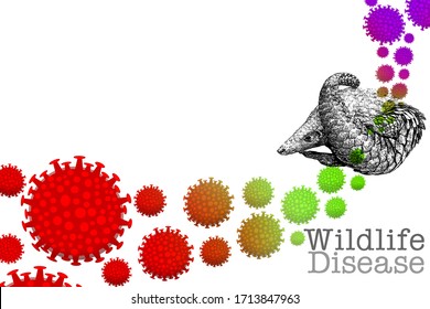 Drawing Of The Corona Virus In The Pangolin. Diseases That Come From Eating Wild Animal Or Wildlife. Corona Accumulation Sites That Are Suspected To Be The Source Of Transmission Of Pathogens.