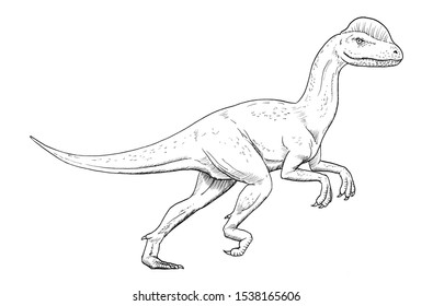 1,043 Dilophosaurus Images, Stock Photos & Vectors | Shutterstock