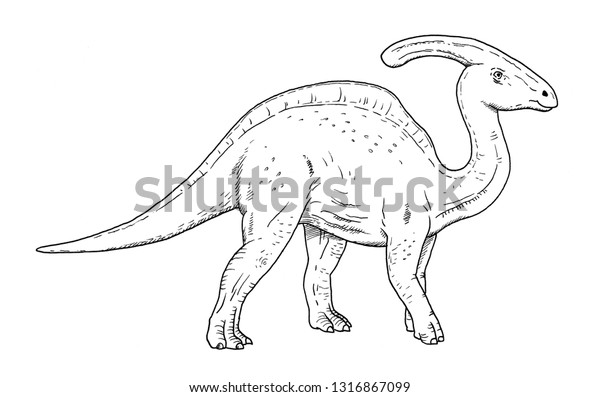 恐竜図 白黒のパラサロフスの手描きのイラスト のイラスト素材