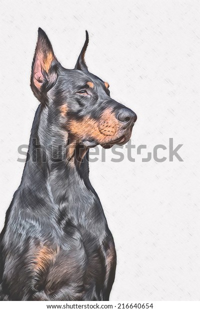 Drawing Doberman Dogpencil Drawing On White のイラスト素材