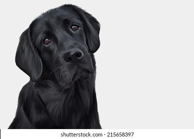 Drawing Of The Dog, A Black Labrador, Portrait