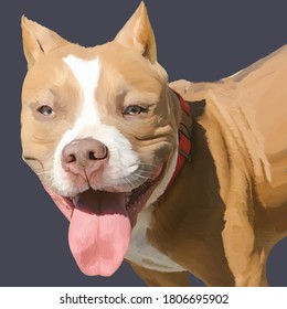 
Drawing Of A Dog Of The Boule Breed Beige Color With Kind Loyal Eyes