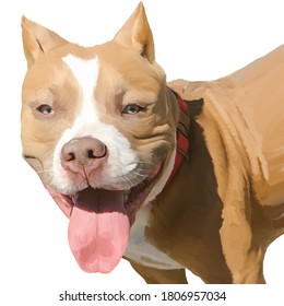 
Drawing Of A Dog Of The Boule Breed Beige Color With Kind Loyal Eyes