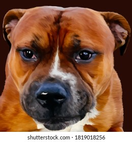 Drawing Of A Dog Breed American Bulldog Red Color Smart Loyal Eyes Wide Torso