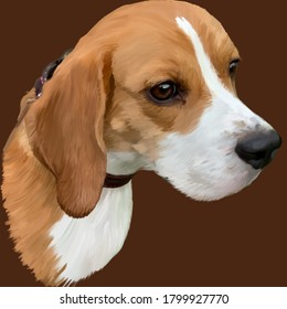 Drawing Of A Dog Of Breed Beagle Bright Color Smart Cute Kind Loyal Eyes