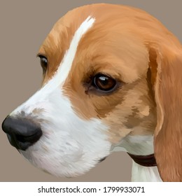 Drawing Of A Dog Of Breed Beagle Bright Color Smart Cute Kind Loyal Eyes