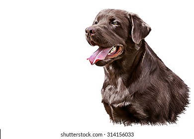 Drawing Dog Breed Brown Labrador, Portrait Oil Painting On A White Background