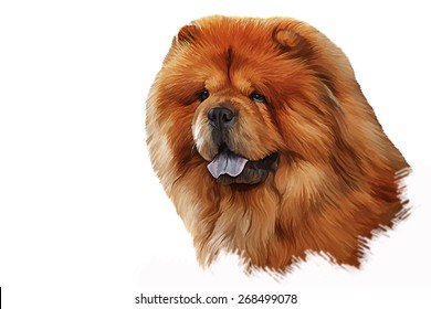 Drawing Of The Dog Chow Chow, Red, Portrait Oil Painting On A White Background