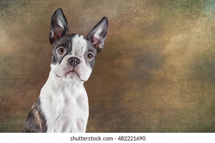 Drawing dog portrait Boston Terrier portrait oil painting old vintage color grunge paper background