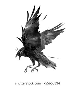 Featured image of post How To Draw A Crow Flying Easy Today we together with you will draw a black winged how to draw a crow to make it look likebeautiful and authentic