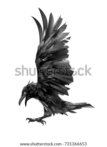 Drawing Flying Crow Isolated Sketch Bird Ilustración de stock731366653