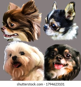 Drawing Of Four Dogs With Intelligent Kind Loyal Eyes Of Bright Beautiful Colors