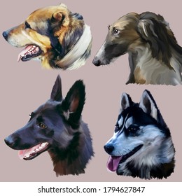 Drawing Of Four Dogs With Intelligent Kind Loyal Eyes Of Bright Beautiful Colors