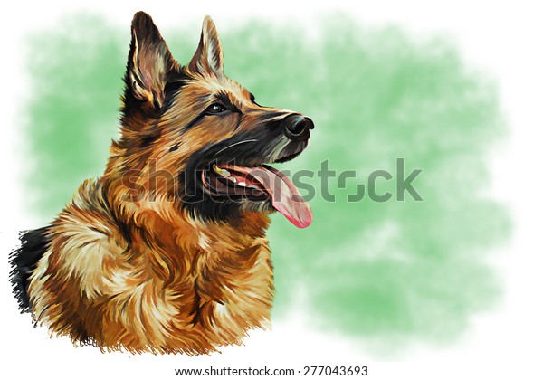 Drawing German Shepherd Dog, portrait oil painting on a green background. Dog wallpaper mural. 