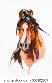 drawing head of the horse on a white background