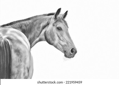 7,298 Standing Horse Drawing Images, Stock Photos & Vectors | Shutterstock