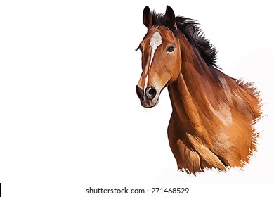Drawing of a horse, portrait  oil painting on a white background