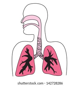 Drawing Human Respiratory System Vector Format Stock Illustration ...