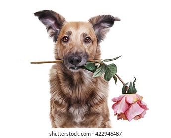 Drawing  Mixed breed dog holding a flower in the mouth, portrait on a white background