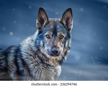 Drawing  mixed breed Dog Wolf on blue background, Winter, snowflakes