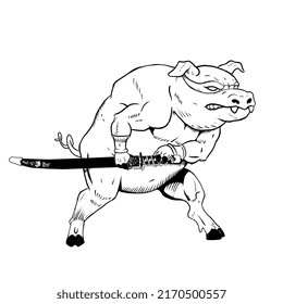 drawing of a ninja pig in attack pose with bandana and katana sword cartoon animal line art piggy pork