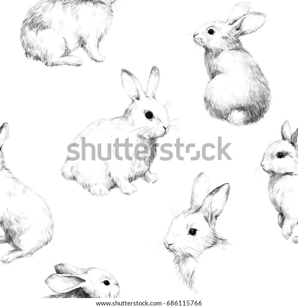ウサギと絵を描くことで かわいいファジー模様4ペンシルスケッチ のイラスト素材