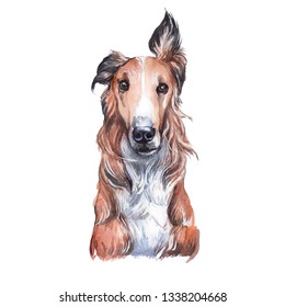 Drawing Russian Greyhound Dog Watercolor