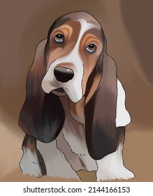 Drawing Of A Sad Basset Hound