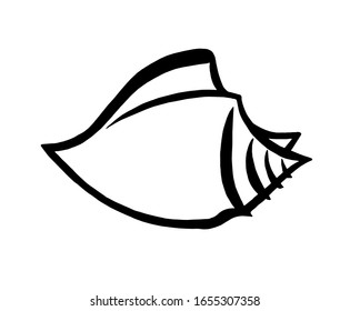 Drawing Shell Lines Drawn Black Ink Stock Illustration 1655307358 ...