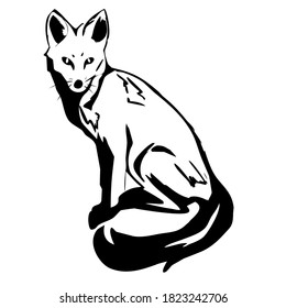 Drawing Side Profile Fox Looking Front Stock Illustration 1823242706 ...