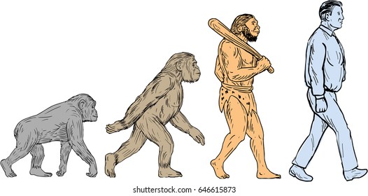 Drawing Sketch Style Illustration Showing Human Evolution From Primate Ape, Homo Habilis, Homo Erectus To Modern Day Human Homo Sapien Walking Viewed From The Side Set On Isolated White Background. 