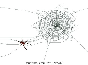 A drawing of a spider weaving a web. On a white background.