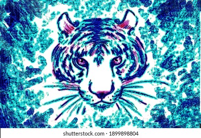 Drawing tiger pastel white.Illustration for printing, background, screen saver.